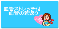 血管ストレッチ付 　血管の若返り 
